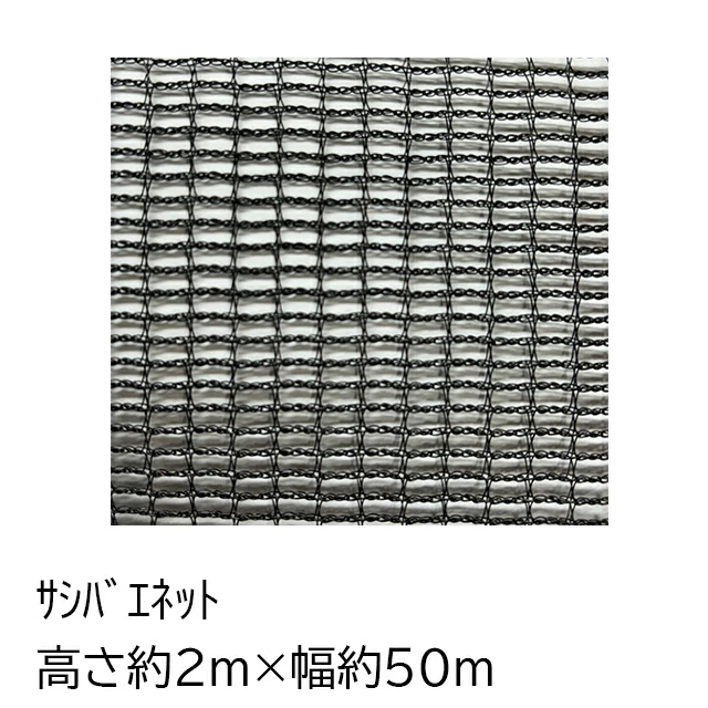 サシバエネット