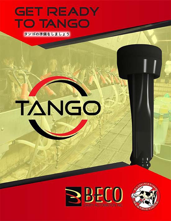 BECO　ＴＡＮＧＯシェル